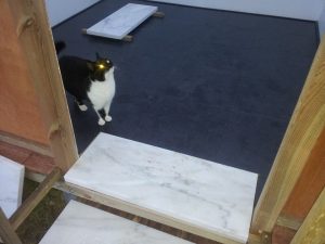 first visitor before the opening of the presentation on 27 th of Jan. 2014