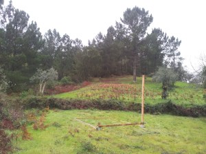 Start  Museum of... 01-01 2014