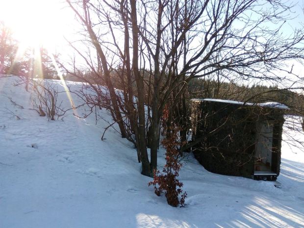 16754153_410308259318234_1140093586_n