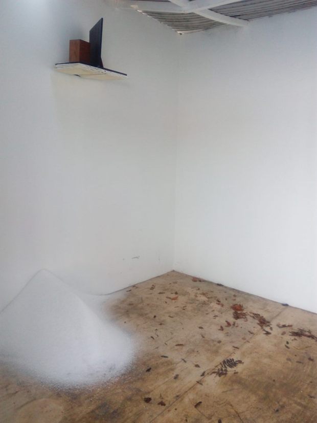 50710731_983163678557932_3661391274025418752_n