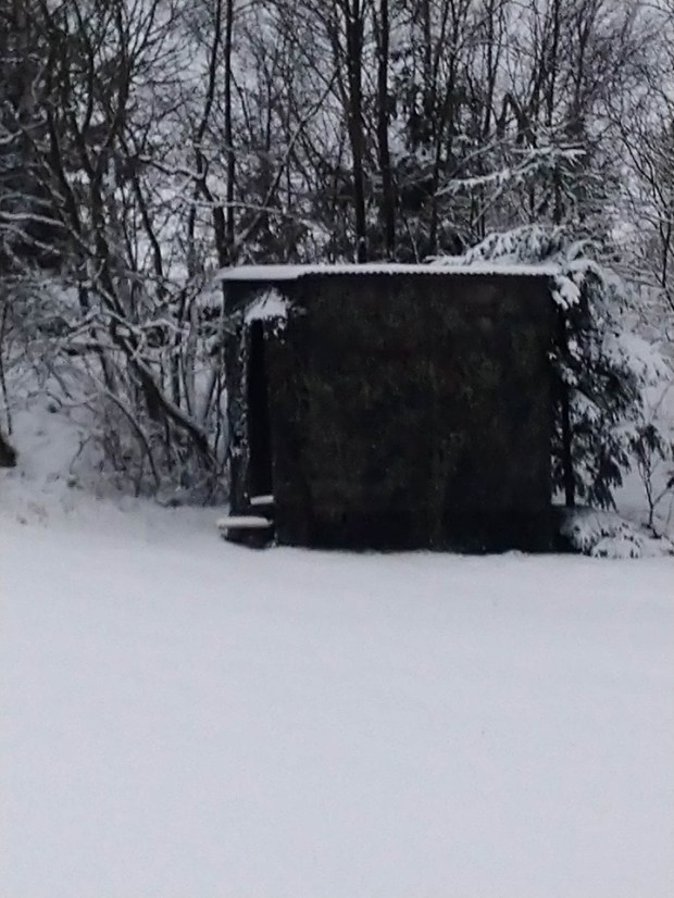 79020051_436889110339389_3360829681694670848_n